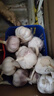 【营田半亩】蒜干蒜头蒜大蒜紫白皮大蒜当季蔬菜0.5-5斤 2斤带箱重【果径4.5-5cm】大果 实拍图
