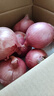 京鲜生 甘肃紫红皮洋葱净重5斤单果200g+ 现挖新鲜蔬菜 源头直发包邮 实拍图