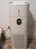 东芝（TOSHIBA）大白梨Pro冷空气净化器加湿器净化一体机除甲醛异味除菌除过敏原消毒机家用消杀认证【国家补贴】 实拍图