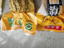 正宗新鲜东北黄糯玉米绿色食品真空包装加热即食减肥减脂代餐早餐 10根/箱 实拍图