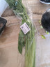 【24小时菜】大芹菜约400g 实拍图