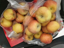 阿克苏苹果新疆阿克苏冰糖心苹果新鲜时令水果礼盒红富士丑苹果 10斤特级果70-85mm净重8.5斤+ 实拍图