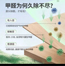 绿之源甲醛清除剂500ml2瓶光触媒去除甲醛喷剂新房入住用抗细菌除异味 实拍图