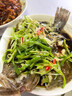 鲜活多宝鱼450-550g/条 实拍图