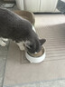 HELLOJOY不锈钢宠物食盆狗碗猫狗碗食盆水粮两用宠物碗喂食器 白色 实拍图