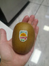 佳沛（zespri）新西兰 阳光金奇异果12粒礼盒特大果单果约122-146g 猕猴桃 水果 实拍图