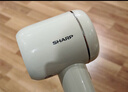 夏普家用吹风机大功率负离子电吹风低噪音护发高速风干不伤发升级款IB-RP47C-C 实拍图