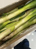 【东东买菜】正宗精品山东铁杆大葱生鲜蔬菜批发绿葱长葱农家现挖 带皮去半叶净重5斤 实拍图
