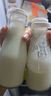 光明随心订【江浙皖专区定期购】小口瓶鲜牛奶220ml 鲜奶 低温冷链 新鲜送奶 实拍图