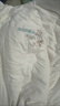 洁丽雅新疆长绒棉 棉花秋冬被芯 180*220cm 6斤经典白 实拍图