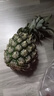 广东徐闻香水菠萝新鲜水果生鲜热带孕妇水果整箱包邮 【限时低价】1个装  单果650g起 实拍图