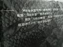 龙牙隐之云榕美丽诺羊毛圆领/V领/半高领毛衣秋冬男士内搭休闲上衣 极夜黑（V领） M 175/96A 实拍图