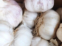 康田汇 陕西2025干新鲜感大蒜现挖新蒜紫皮大蒜批发鲜蒜红皮蒜干蒜 2-2.5斤单果4-5CMM净1.6斤 自有农场 实拍图