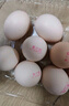 黄天鹅可生食鸡蛋 30枚/3.18斤礼盒装 生鲜鸡蛋京东自营 无抗生素 实拍图
