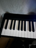 特伦斯折叠钢琴88键便携式电钢琴成人儿童电子琴重力度键盘V30pro家用 炫酷黑+专用琴包+Z型琴架 实拍图