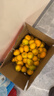 集南鲜  赣南脐橙 江西赣州手剥柑橘橙子当季孕妇新鲜水果橙子整箱礼盒 甄选彩箱 单果150-220g 净重9斤 实拍图