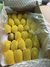 佳沛（zespri）新西兰  阳光金奇异果10粒礼盒巨大果单果约144-175g 水果 猕猴桃 实拍图
