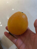 玖原农珍 赣南脐橙现摘新鲜榨汁水果橙子 年货水果礼盒 4.5斤-5斤净果普箱装110-160g 实拍图