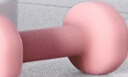 Keep 彩色浸塑哑铃 男女家用家庭健身肌肉塑形手臂轻重量紫灰色 3kg*2 实拍图