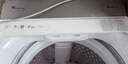 小天鹅（LittleSwan）波轮洗衣机全自动 12公斤大容量 小乌梅轻奢版【TB12VE20DW】水魔方防缠绕 家电国家补贴20% 实拍图