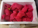 京鲜生 红宝石莲雾 净重3斤装12-15个单果75g+生鲜水果源头直发包邮 实拍图