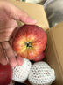 京鲜生 甘肃天水花牛苹果 又大又红 净重4斤 单果160g起  新鲜水果  实拍图