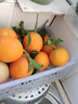 京鲜生 爱媛果冻橙 5斤装 单果150g起 生鲜水果礼盒 实拍图