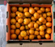 京鲜生 金秋砂糖橘/砂糖桔 5斤 生鲜水果礼盒  实拍图