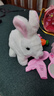 迪漫奇儿童玩具仿真动物电动宠物小兔子玩偶会动会叫3-6岁女孩生日礼物 实拍图