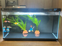 米家（MIJIA）小米米家智能生态鱼缸还原自然生态补仓一次三月无忧出差旅行必备 实拍图