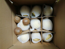 京喜加赵州皇冠梨河北皇冠梨产地直发 带箱2斤小花皮（单果200g+） 实拍图
