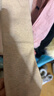 浪莎儿童保暖连裤袜女童秋冬季加绒加厚打底裤中大童学生舞蹈袜 麦色 实拍图