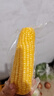 十月稻田 黄糯玉米 3.52斤(220g*8根) 25年新玉米 东北玉米 早餐 低脂粗粮 实拍图