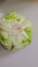 【霜打菜】高原面包甘蓝约500g 实拍图