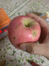 京鲜生山东烟台红富士苹果5斤装单果80-85mm新鲜水果 源头直发包邮 实拍图
