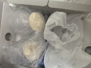小白熊SnowBear吸奶器 免手扶电动全便携挂脖式 双边挤奶器3058IIPro 热门商品 实拍图