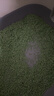 宠幸 升级2mm绿茶豆腐猫砂2.7kg*6 纯豆腐可冲厕所 除臭低尘猫砂 实拍图