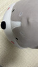 名创优品（MINISO）趴姿系列-大号趣味狗狗毛绒公仔玩具玩偶抱枕生日礼物女 灰色 实拍图