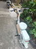 飞鸽电动自行车 E75Plus新国标电动车2026【敦煌联名】73KM长续航48V21Ah铅酸电池智能电瓶车可上牌 实拍图