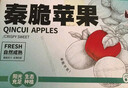 洛川苹果25年新品秦脆瑞雪维纳斯苹果水果礼盒水果生鲜送礼陕西延安特产 秦脆 6枚大果 鉴赏级 礼盒装 实拍图