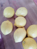 京鲜生 安岳黄柠檬 8粒 单果95-120g 生鲜水果 实拍图