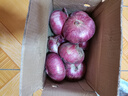 山东特产水果扁洋葱甜瓜口感红皮扁葱头生吃脆甜蘸酱好吃粉嫩 紫皮洋葱大果带箱 5斤 精选 实拍图