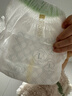 babycare金山茶花拉拉裤XL34片(12-17kg)婴儿尿不湿超薄透气新生柔花苞裤 实拍图