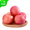 京鲜生山东烟台红富士苹果 净重5斤 单果85-90mm 生鲜水果 源头直发 实拍图