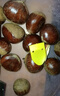【东东农场专供】25年丹东新板栗生板栗炒菜专用新鲜蔬菜生鲜 25年新下树 2斤 送栗爪 实拍图