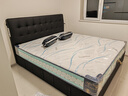 帕沙曼（pashaman）天然乳胶床垫软硬适中席梦思护脊独立弹簧椰棕床垫1.5米床垫 D610 E款23cm（乳胶+独立弹簧+椰棕 1800mm*2000mm 实拍图