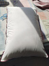 水星家纺枕头枕芯酒店枕头护颈枕头芯家用单个纯棉抗菌可水洗中枕48x74cm 实拍图