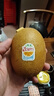 佳沛（zespri）新西兰  阳光金奇异果10粒礼盒巨大果单果约144-175g 水果 猕猴桃 实拍图