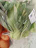 【24小时菜】大芹菜约400g 实拍图
