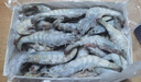 鲜京采 厄瓜多尔白虾 净重3斤/盒 特大号20-30规格   30-45只/盒 实拍图